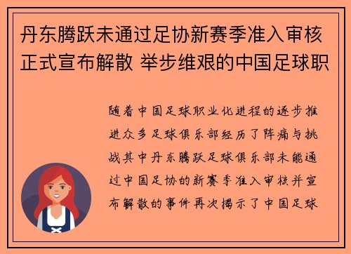 丹东腾跃未通过足协新赛季准入审核正式宣布解散 举步维艰的中国足球职业化困境再现